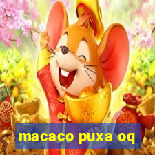 macaco puxa oq